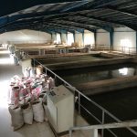 Rehabilitation Program for Jebel Awlia Water Treatment Plant